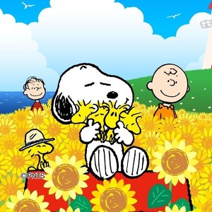 Team Page: K-3 Mrs. Silvey's Silly Sunflowers